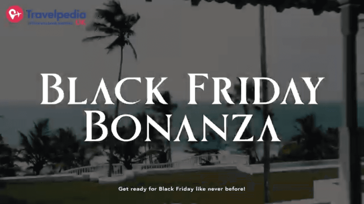 Black Friday Travel Promo